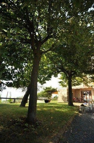 Il Casale Di Mario Villa Montecchio  Exterior foto